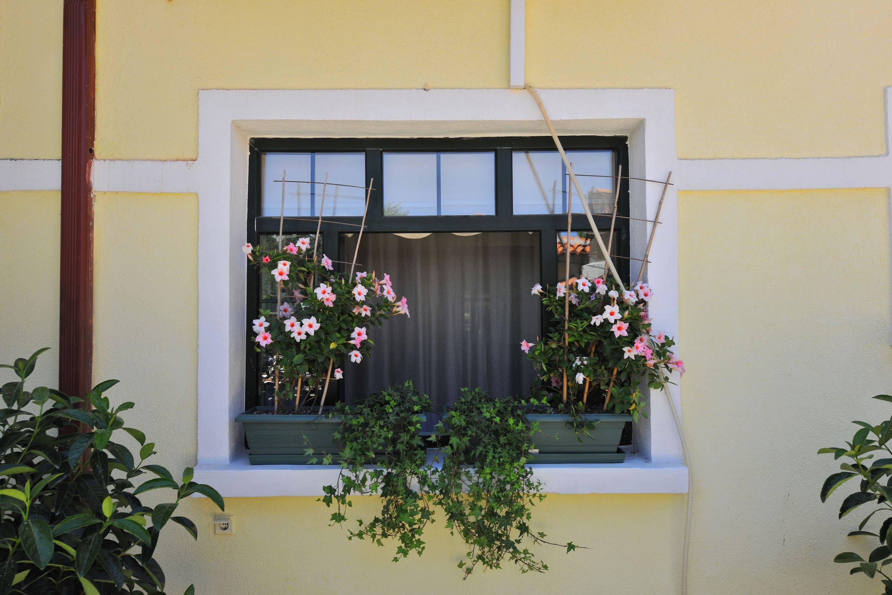 Petrino Goekceada Hotel&Kitchen İmroz Buitenkant foto