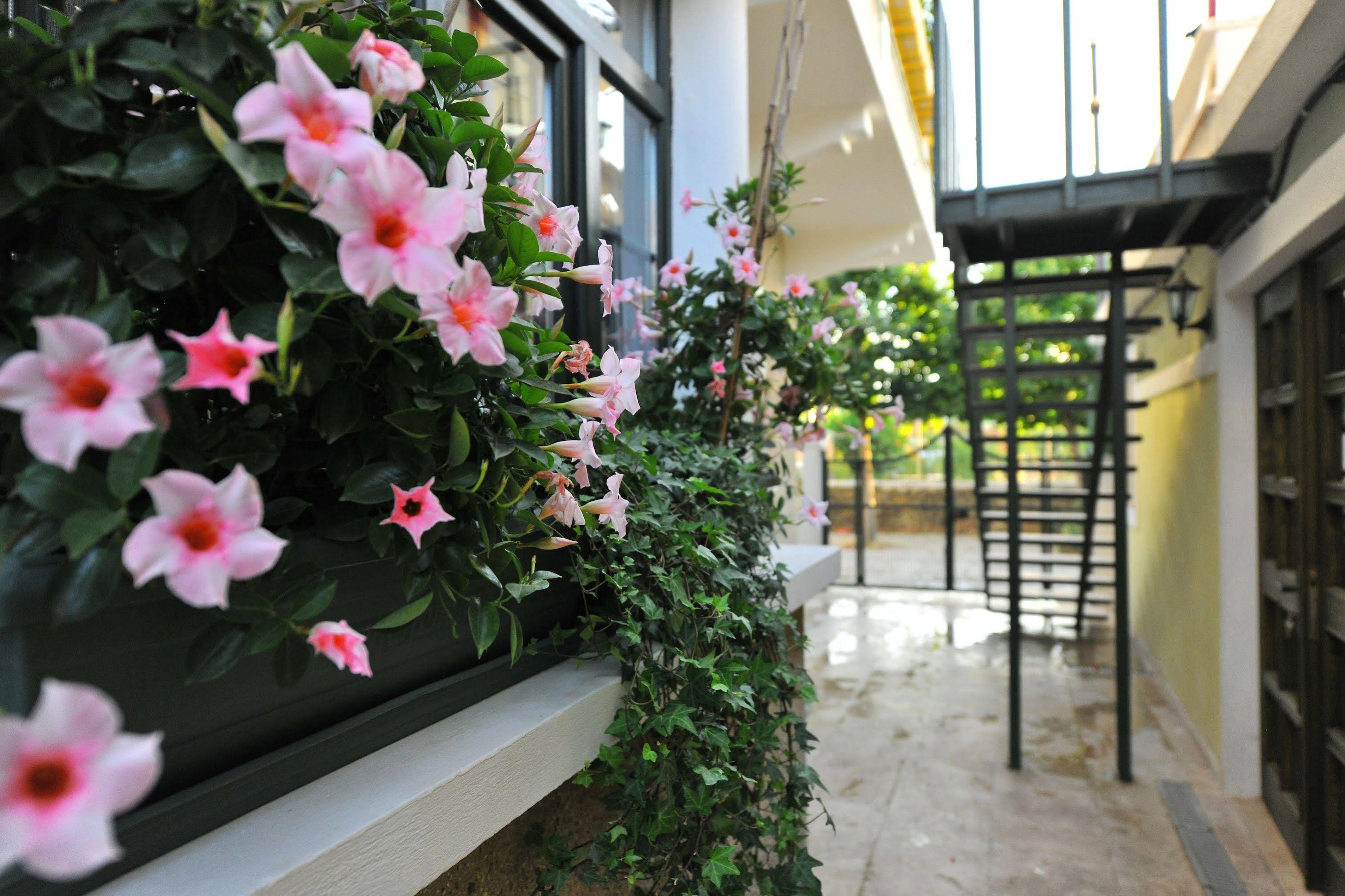 Petrino Goekceada Hotel&Kitchen İmroz Buitenkant foto